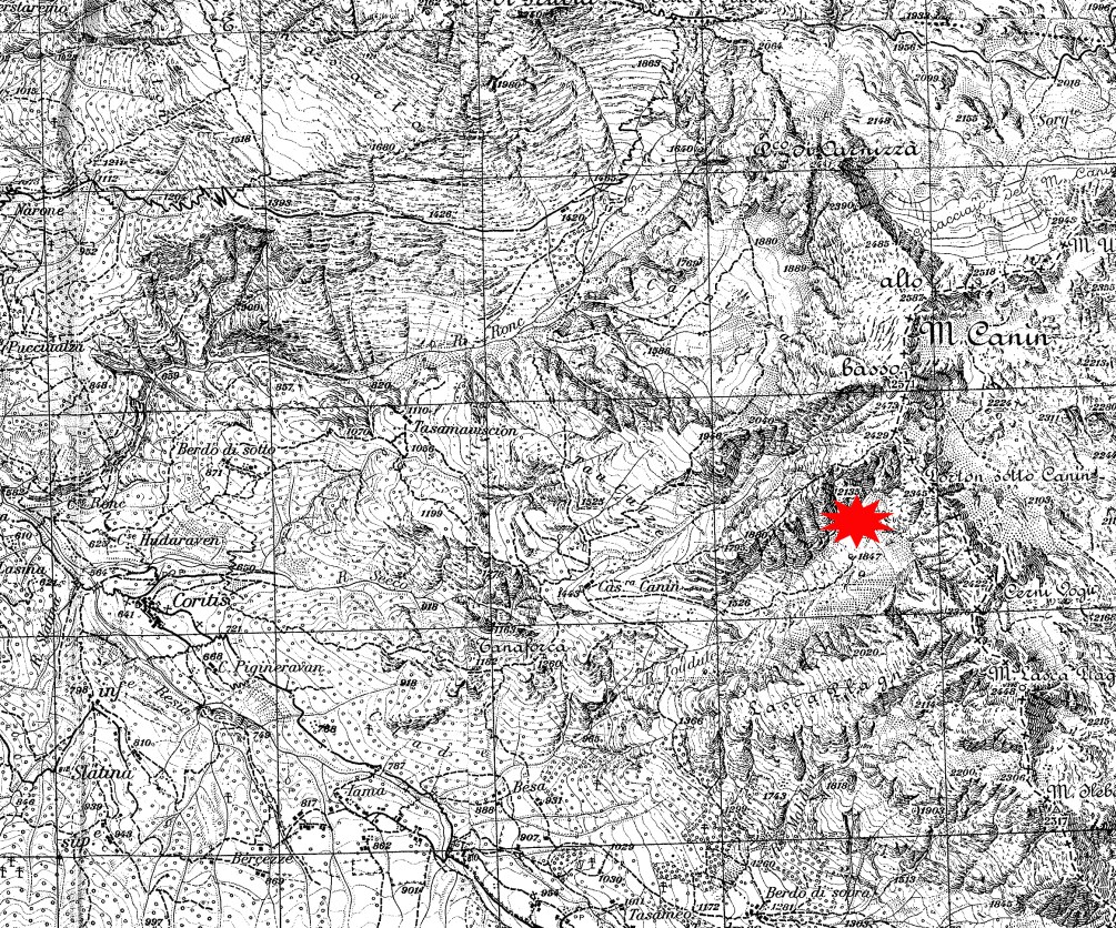 IGM Canin with crash point